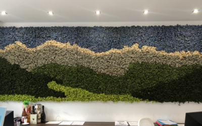 New projects realized with stabilized lichens